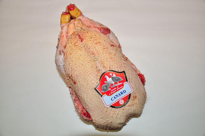 Canard Canard
